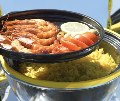 SunGlobe Parabolic Solar Oven 2